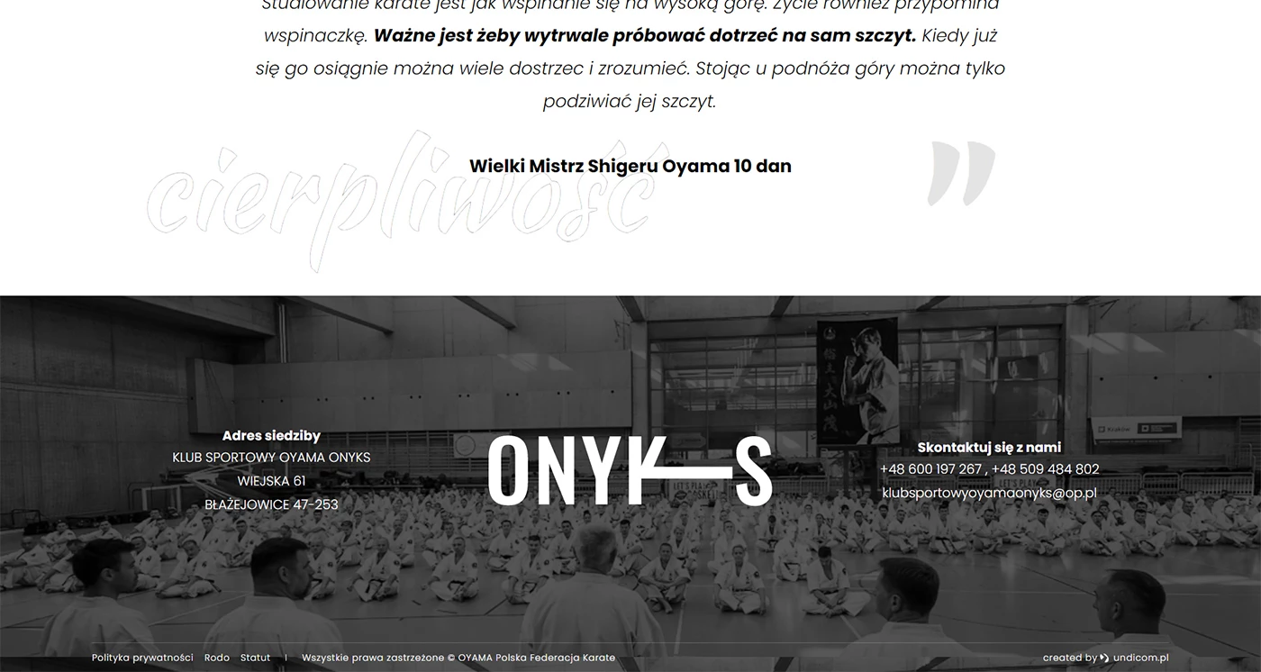 OYAMA ONYKS -  - Strony www - 5 projekt