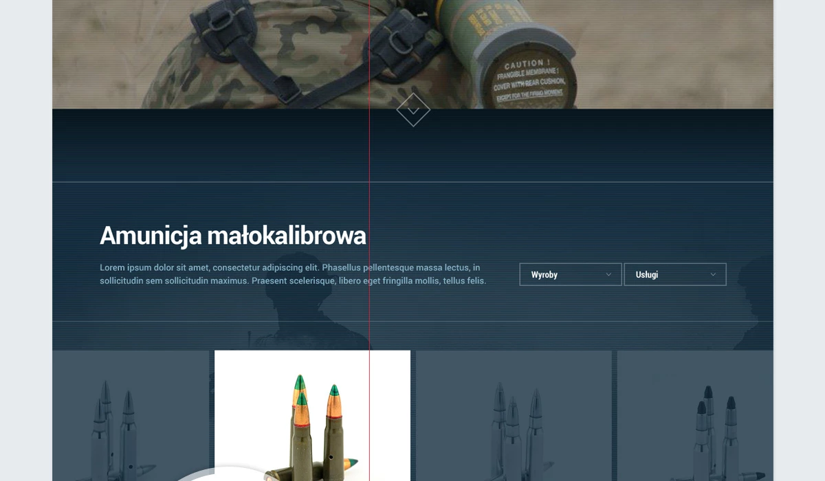 Strona internetowa dla producenta amunicji Polskiej Grupy Zbrojeniowej - 8 projekt