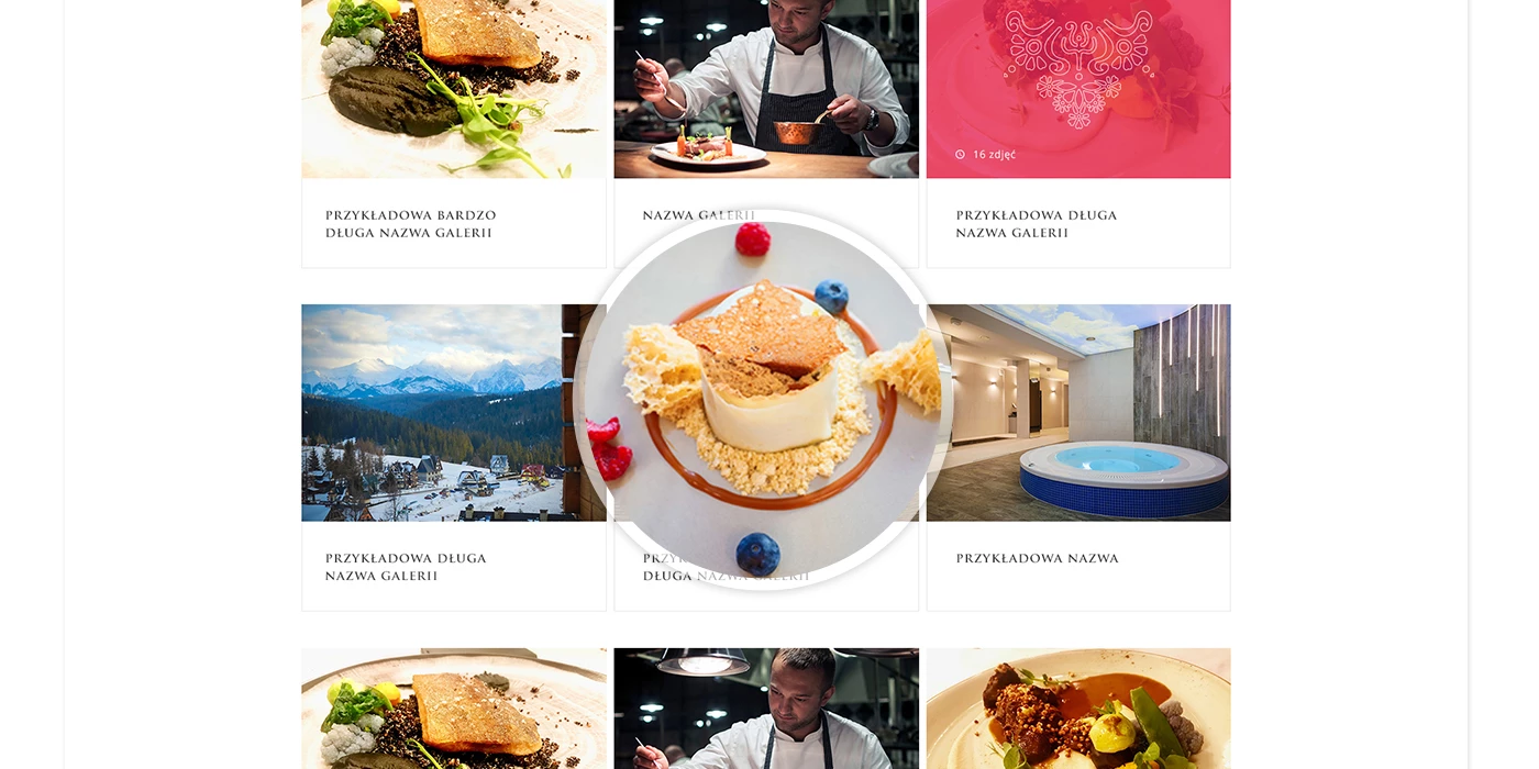 Strona internetowa dla restauracji w Tatrach - 19 projekt